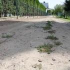 W upalny dzień po każdym szybszym przejeździe drogą ciężkiego sprzętu rolniczego czy...