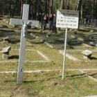 zdjęcie nr 13
