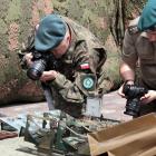 Fotka nr 2 z 15