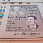 zdjęcie nr 13
