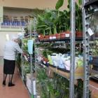 Kwiatowe okazy to prawdziwa gratka dla entuzjastów odkrywania bogactwa zieleni./ FOT....