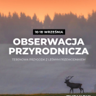 Fotka nr 5 z 6
