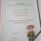 zdjęcie nr 9