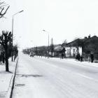 zdjęcie nr 44