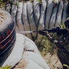 Fotka nr 5 z 10