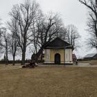 zdjęcie nr 11