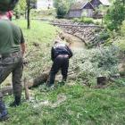 zdjęcie nr 10
