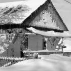 zdjęcie nr 32