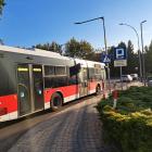 Fotka nr 1 z 2