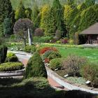 FB Arboretum w Bolestraszycach