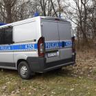 Fotka nr 2 z 4