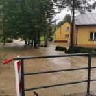 Fotka nr 1 z 6