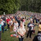zdjęcie nr 27