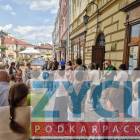 Fotka nr 4 z 6