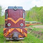 Wąskotorowa lokomotywa spalinowa Lxd2-268.