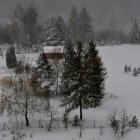 zdjęcie nr 33