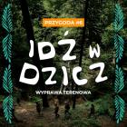 zdjęcie nr 8