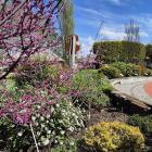 FB Arboretum w Bolestraszycach