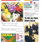Fotka nr 2 z 19