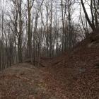 Fragment wału i fosy w grodzisku „Grabnik” nieopodal Kopysna.