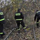 Fotka nr 1 z 12