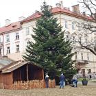 zdjęcie nr 16