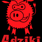zdjęcie nr 8
