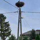 zdjęcie nr 20