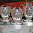 Fotka nr 5 z 9