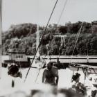 zdjęcie nr 13