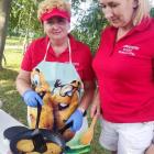 Na pikniku serwowano dania z ziemniaka i inne uzupełniające je przysmaki./ FOT....