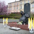zdjęcie nr 11