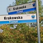 zdjęcie nr 27