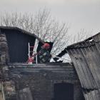 zdjęcie nr 7