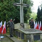 zdjęcie nr 13