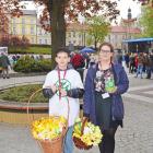 Fotka nr 0 z 10