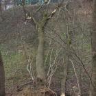 zdjęcie nr 9