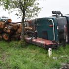 Fotka nr 4 z 11