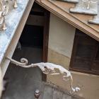 Fotka nr 5 z 10
