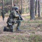 Fotka nr 4 z 8