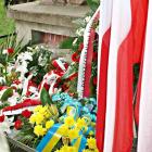 zdjęcie nr 46