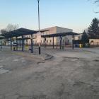 FOT. ZW