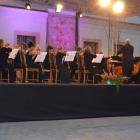 Fotka nr 5 z 7