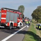 Fotka nr 1 z 13