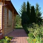 zdjęcie nr 30