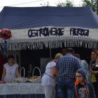 zdjęcie nr 15