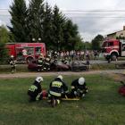 Fotka nr 2 z 17