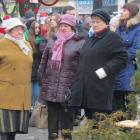 zdjęcie nr 15