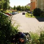 zdjęcie nr 7