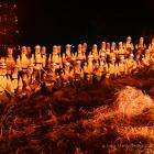 Fotka nr 0 z 5